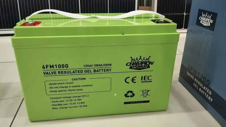 Batterie Gel Plomb-Acide à Valve Régulée (VRLA) Champion Power 12V 100Ah (6FM100G)